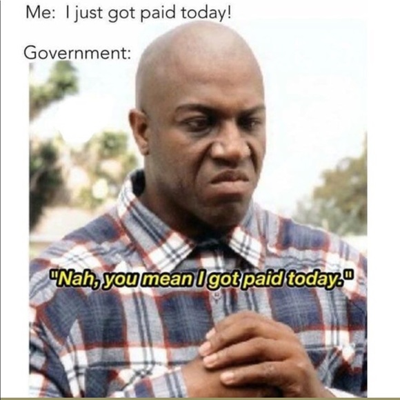 Meet your Posher, Shabba - Picture 6 of 7